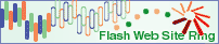 /// FLASH WEB SITE RING /// TOP֖߂܂B